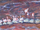 Animaux
