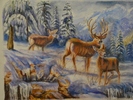 Animaux