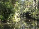 stage MARAIS POITEVIN