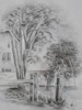 POITIERS - GRAPHITE